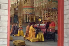 寧波方廣寺 | 金蛹科技助力寺院點亮智慧之光